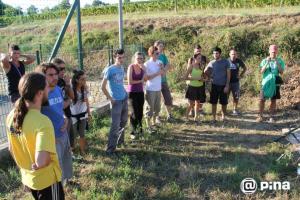 422708_10151161477034208_1378857161_n