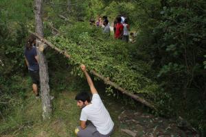 549586_10151161476529208_1841280337_n